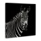 Stupell Industries Jungle Zebra Portrait Canvas Wall Art Design by Susan Bryant